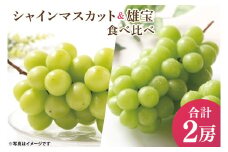 49-05【先行予約】【2025年10月以降発送】 シャインマスカット 雄宝 食べ比べ【マスカット ぶどう ブドウ 葡萄 フルーツ 果物 阿見町 茨城県】