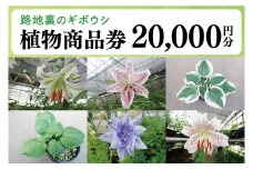 53-03 「路地裏のギボウシ」商品券 20,000円分【植物 希少 品種 多肉植物 利用券 利用チケット 茨城県 阿見町】