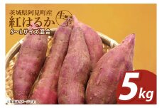 【12月下旬より順次発送】さつまいも 紅はるか5kg【甘藷 甘い さつま芋 サツマイモ 薩摩芋 茨城県産 茨城県 阿見町】(90-04)