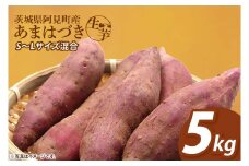 【12月下旬より順次発送】さつまいも あまはづき5kg【甘藷 甘い さつま芋 サツマイモ 薩摩芋 茨城県産 茨城県 阿見町】(90-02)