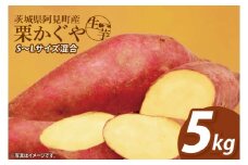 【12月下旬より順次発送】さつまいも くりかぐや5kg【甘藷 甘い さつま芋 サツマイモ 薩摩芋 茨城県産 茨城県 阿見町】(90-01)