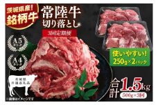 【茨城県共通返礼品】【3ヶ月定期便】常陸牛切り落とし 500g（250g×2）【黒毛和牛 国産 銘柄牛 牛肉 肉 冷凍 茨城県産】(81-19)
