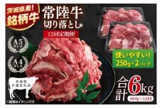 【茨城県共通返礼品】【12ヶ月定期便】常陸牛切り落とし 500g（250g×2）【黒毛和牛 国産 銘柄牛 牛肉 肉 冷凍 茨城県産】(81-21)