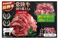 【茨城県共通返礼品】【3ヶ月定期便】お試しサイズ！常陸牛切り落とし 250g【黒毛和牛 国産 銘柄牛 牛肉 肉 冷凍 茨城県産】(81-23)