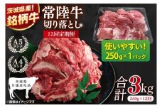【茨城県共通返礼品】【12ヶ月定期便】お試しサイズ！常陸牛切り落とし 250g【黒毛和牛 国産 銘柄牛 牛肉 肉 冷凍 茨城県産】(81-25)