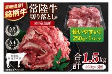 【茨城県共通返礼品】【6ヶ月定期便】お試しサイズ！常陸牛切り落とし 250g【黒毛和牛 国産 銘柄牛 牛肉 肉 冷凍 茨城県産】(81-24)