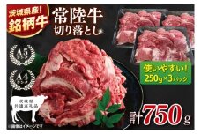 【茨城県共通返礼品】常陸牛切り落とし 750g（250g×3）【黒毛和牛 国産 銘柄牛 牛肉 肉 冷凍 茨城県産】(81-26)