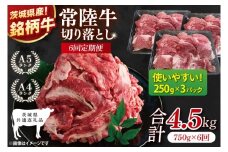 【茨城県共通返礼品】【6ヶ月定期便】常陸牛切り落とし 750g（250g×3）【黒毛和牛 国産 銘柄牛 牛肉 肉 冷凍 茨城県産】(81-28)