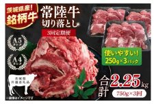 【茨城県共通返礼品】【3ヶ月定期便】常陸牛切り落とし 750g（250g×3）【黒毛和牛 国産 銘柄牛 牛肉 肉 冷凍 茨城県産】(81-27)