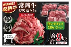 【茨城県共通返礼品】【12ヶ月定期便】常陸牛切り落とし 750g（250g×3）【黒毛和牛 国産 銘柄牛 牛肉 肉 冷凍 茨城県産】(81-29)