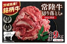 【茨城県共通返礼品】【6ヶ月定期便】大容量！常陸牛切り落とし 1.5kg（500g×3）【黒毛和牛 国産 銘柄牛 牛肉 肉 冷凍 茨城県産】(81-32)