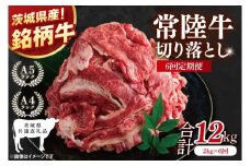 【茨城県共通返礼品】【6ヶ月定期便】大容量！常陸牛切り落とし 2kg（500g×4）【黒毛和牛 国産 銘柄牛 牛肉 肉 冷凍 茨城県産】(81-36)