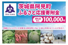 【返礼品なし】阿見町ふるさと応援寄附金(100000円)(000-06)