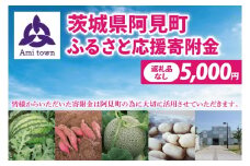 【返礼品なし】阿見町ふるさと応援寄附金(5000円)(000-03)