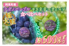 【先行予約】【2025年9月以降発送】ナガノパープル１房 約600g マスカサーティーン１房 約600g 食べ比べセット 阿見町産【ぶどう ブドウ 葡萄 フルーツ 果物 阿見町 茨城県】（49-16）