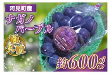 【先行予約】【2025年9月以降発送】ナガノパープル１房 約600g 阿見町産【リザマート 巨峰 ぶどう ブドウ 葡萄 フルーツ 果物 阿見町 茨城県】（49-15）