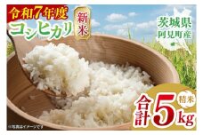 【先行予約】【10月初旬より順次発送】令和７年産 コシヒカリ 精米 5kg【新米 白米 ご飯 御飯 お米 こしひかり 茨城県 茨城県産 阿見町産】（26-02）
