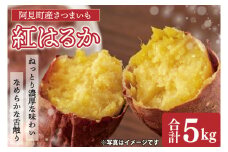 【先行予約 11月頃から順次発送】茨城県阿見町産 さつまいも 紅はるか 5kg×1【サツマイモ 生芋 べにはるか 茨城県 阿見町】(04-10)