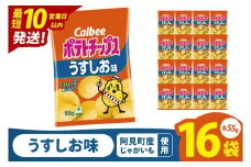 【10営業日以内に出荷】カルビー ポテトチップスうすしお味（55g） 16個｜Calbee お菓子 菓子 おやつ おかし ぽてち ポテチ スナック おつまみ ジャガイモ じゃがいも（93-01）