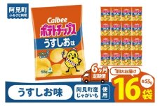 【6回定期便】カルビー ポテトチップスうすしお味 （55g） 16個｜Calbee お菓子 菓子 おやつ おかし ぽてち ポテチ スナック おつまみ ジャガイモ じゃがいも（93-03）