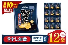 【10営業日以内に出荷】カルビー 堅あげポテト うすしお味（65g） 12個｜Calbee お菓子 菓子 おやつ おかし ぽてち ポテチ スナック おつまみ ジャガイモ じゃがいも（93-10）