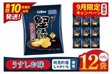 【9月限定価格】【10営業日以内に出荷】カルビー 堅あげポテト うすしお味（65g） 12個｜Calbee お菓子 菓子 おやつ おかし ぽてち ポテチ スナック おつまみ ジャガイモ じゃがいも（93-10-A）