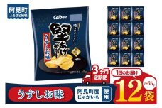 【3回定期便】カルビー 堅あげポテト うすしお味（65g）12個｜Calbee お菓子 菓子 おやつ おかし ぽてち ポテチ スナック おつまみ ジャガイモ じゃがいも（93-11）
