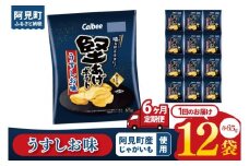 【6回定期便】カルビー 堅あげポテトうすしお味（65g） 12個｜Calbee お菓子 菓子 おやつ おかし ぽてち ポテチ スナック おつまみ ジャガイモ じゃがいも（93-12）