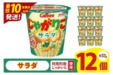【10営業日以内に出荷】カルビー じゃがりこサラダ （57g） 12個｜Calbee お菓子 菓子 おやつ おかし スナック おつまみ ジャガイモ じゃがいも（93-16）