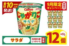 【9月限定価格】【10営業日以内に出荷】カルビー じゃがりこサラダ （57g） 12個｜Calbee お菓子 菓子 おやつ おかし スナック おつまみ ジャガイモ じゃがいも(93-16-A)