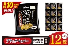 【10営業日以内に出荷】カルビー 堅あげポテト ブラックペッパー（65g） 12個｜Calbee お菓子 菓子 おやつ おかし ぽてち ポテチ スナック おつまみ ジャガイモ じゃがいも（93-31）