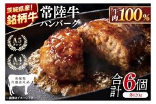 【茨城県共通返礼品】常陸牛100％ ハンバーグ 120g×6個【黒毛和牛 牛肉 銘柄牛 真空 小分け 個包装 冷凍 茨城県 阿見町】(81-46)