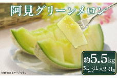 【6月下旬発送予定】メロン 4L～5L 2～3玉 約5.5kg 阿見グリーンメロン 茨城県 化粧箱入り 贈答 自分用 数量 限定 希少 品種（04-29）