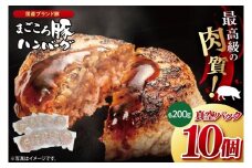 【茨城県共通返礼品】国産まごころ豚ハンバーグ200g×10個【高品質 豚肉 銘柄豚 ブランド豚 人気豚肉 個包装 冷凍 茨城県産 阿見町】(92-02)