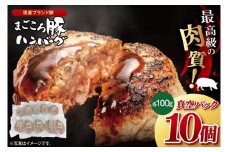 【茨城県共通返礼品】国産まごころ豚ハンバーグ100g×10個【高品質 豚肉 銘柄豚 ブランド豚 人気豚肉 個包装 冷凍 茨城県産 阿見町】(92-01)