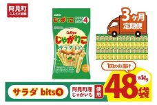 【3回定期便】カルビー じゃがりこサラダ bits 4 56g(14g×4)×12個｜Calbee お菓子 菓子 おやつ おかし スナック おつまみ ジャガイモ じゃがいも（93-50）