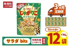 【3ヶ月定期便】カルビー じゃがりこサラダ bits 大モリ（100g）×12個｜Calbee お菓子 菓子 おやつ おかし ぽてち ポテチ スナック おつまみ ジャガイモ じゃがいも（93-53）