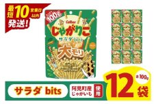 【10営業日以内に出荷】カルビー じゃがりこサラダ bits 大モリ（100g）×12個｜Calbee お菓子 菓子 おやつ おかし ぽてち ポテチ スナック おつまみ ジャガイモ じゃがいも（93-52）