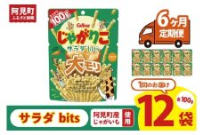 【6ヶ月定期便】カルビー じゃがりこサラダ bits 大モリ（100g）×12個｜Calbee お菓子 菓子 おやつ おかし ぽてち ポテチ スナック おつまみ ジャガイモ じゃがいも（93-54）