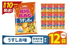 【10営業日以内に出荷】カルビー ポテトチップス うすしお味 BIGBAG（160g）×12個｜Calbee お菓子 菓子 おやつ おかし ぽてち ポテチ スナック おつまみ ジャガイモ じゃがいも（93-55）