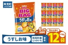 【6ヶ月定期便】カルビー ポテトチップス うすしお味 BIGBAG（160g）×12個｜Calbee お菓子 菓子 おやつ おかし ぽてち ポテチ スナック おつまみ ジャガイモ じゃがいも（93-57）