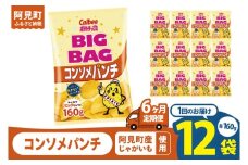 【6ヶ月定期便】カルビー ポテトチップスコンソメパンチ BIGBAG 160g×12個｜Calbee お菓子 菓子 おやつ おかし ぽてち ポテチ スナック おつまみ ジャガイモ じゃがいも（93-60）
