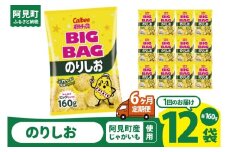 【6ヶ月定期便】カルビー ポテトチップス のりしお BIGBAG（160g）×12個｜Calbee お菓子 菓子 おやつ おかし ぽてち ポテチ スナック おつまみ ジャガイモ じゃがいも（93-63）