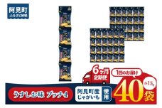 【6ヶ月定期便】カルビー 堅あげポテト うすしお味 プッチ4 60g(15g×4袋)×10個入り｜Calbee お菓子 菓子 おやつ おかし ぽてち ポテチ スナック おつまみ ジャガイモ じゃがいも 小分け 個包装（93-66）