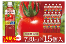 【9月限定価格】カゴメトマトジュース 食塩無添加 720ml×15個｜KAGOME とまと 野菜 リコピン GAVA 機能性表示食品（93-199）