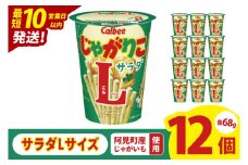【10営業日以内に出荷】カルビー じゃがりこ サラダ Lサイズ 68g×12個｜Calbee お菓子 菓子 おやつ おかし ぽてち ポテチ スナック おつまみ ジャガイモ じゃがいも（93-79）