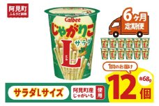 【6ヶ月定期便】カルビー じゃがりこ サラダ Lサイズ 68g×12個｜Calbee お菓子 菓子 おやつ おかし ぽてち ポテチ スナック おつまみ ジャガイモ じゃがいも（93-81）