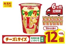 【6ヶ月定期便】カルビー じゃがりこ チーズ Lサイズ 66g×12個｜Calbee お菓子 菓子 おやつ おかし ぽてち ポテチ スナック おつまみ ジャガイモ じゃがいも（93-84）