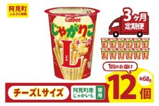 【3ヶ月定期便】カルビー じゃがりこ チーズ Lサイズ 66g×12個｜Calbee お菓子 菓子 おやつ おかし ぽてち ポテチ スナック おつまみ ジャガイモ じゃがいも（93-83）