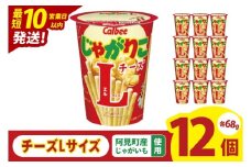 【10営業日以内に出荷】カルビー じゃがりこ チーズ Lサイズ 66g×12個｜Calbee お菓子 菓子 おやつ おかし ぽてち ポテチ スナック おつまみ ジャガイモ じゃがいも（93-82）